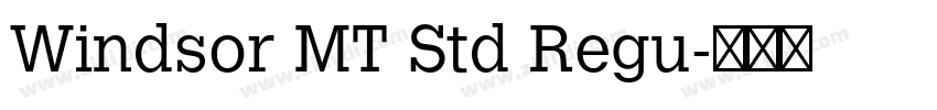 Windsor MT Std Regu字体转换